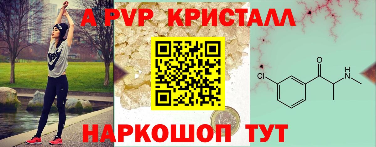 Альфа ПВП СК Кингисепп